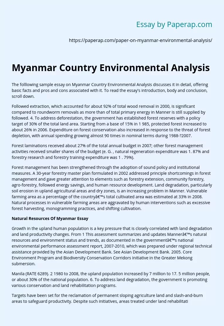 Myanmar Country Environmental Analysis Free Essay Example