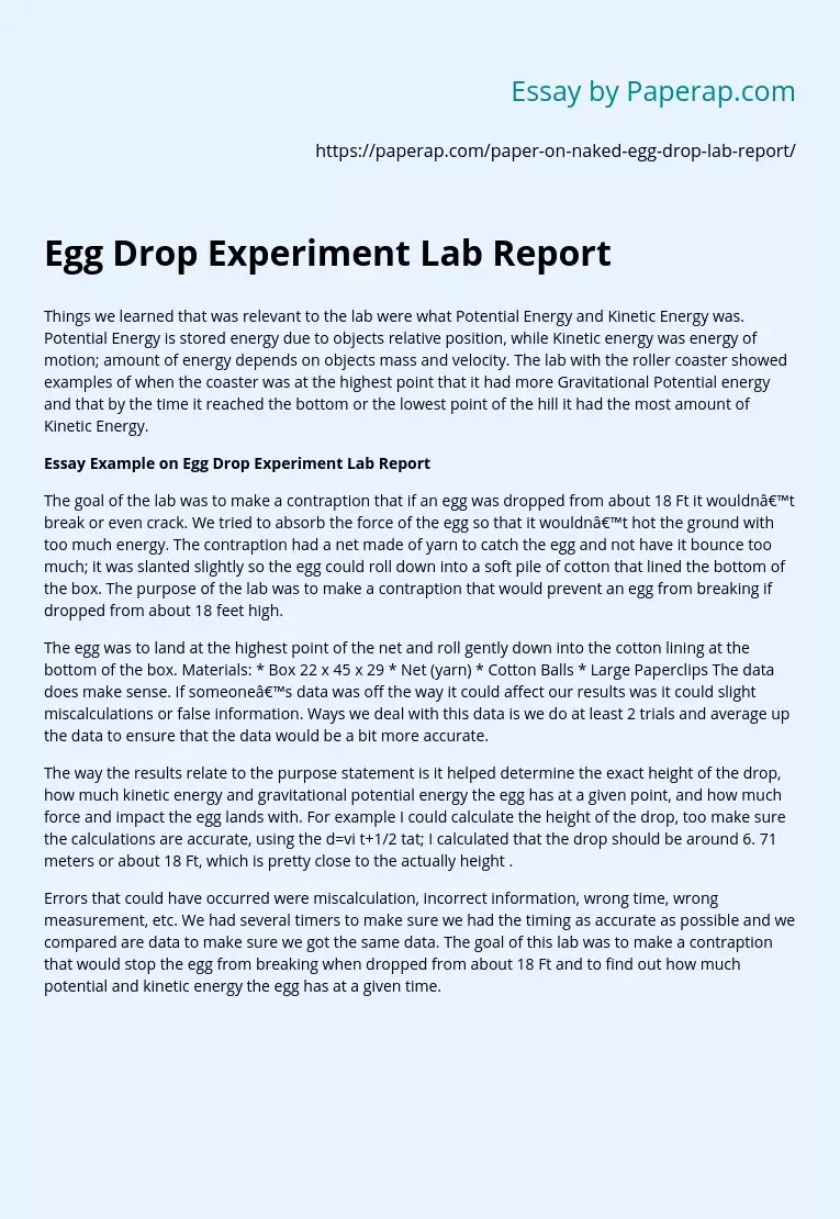 Egg Drop Experiment Lab Report Essay Example