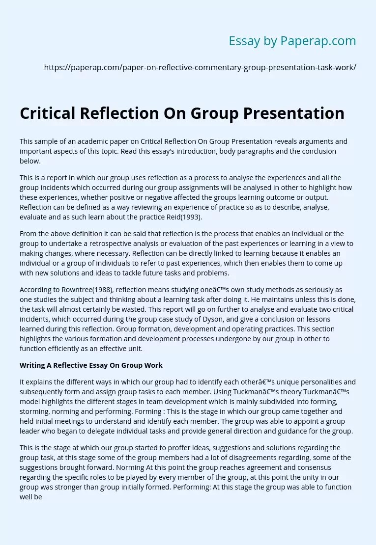 Critical Reflection On Group Presentation Essay Example
