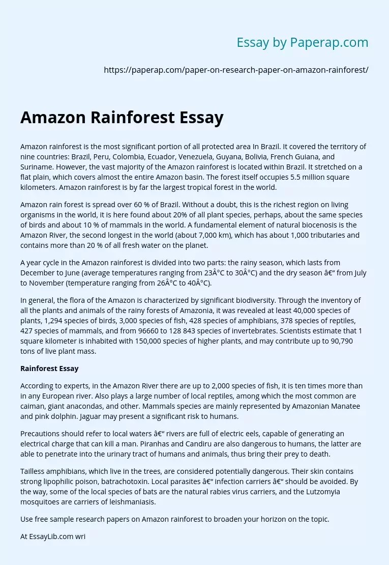 Amazon Rainforest Essay Free Essay Example