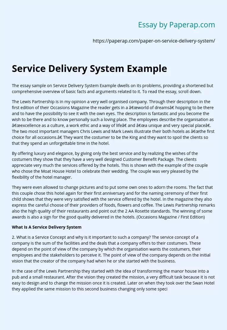 Service Delivery System Example Free Essay Example