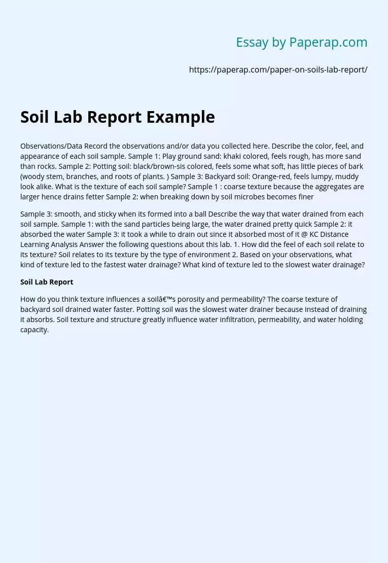 Soil Lab Report Example Free Essay Example