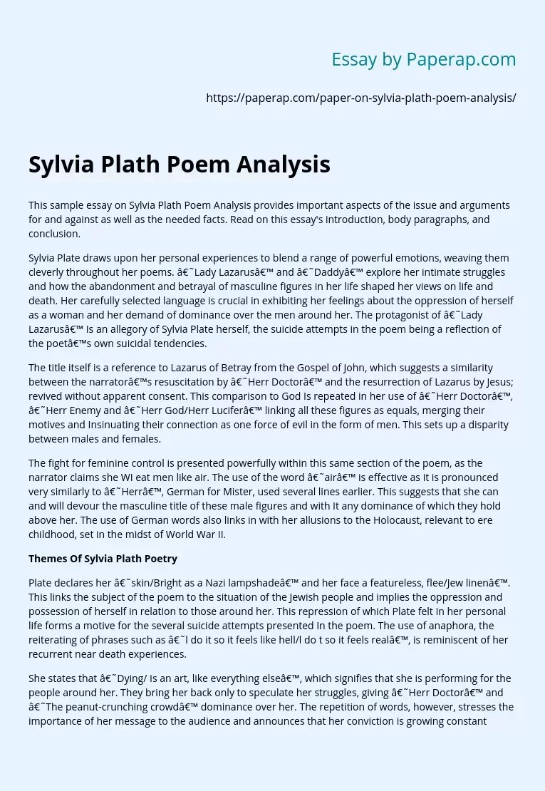 Sylvia Plath Poem Analysis Summary Essay Example