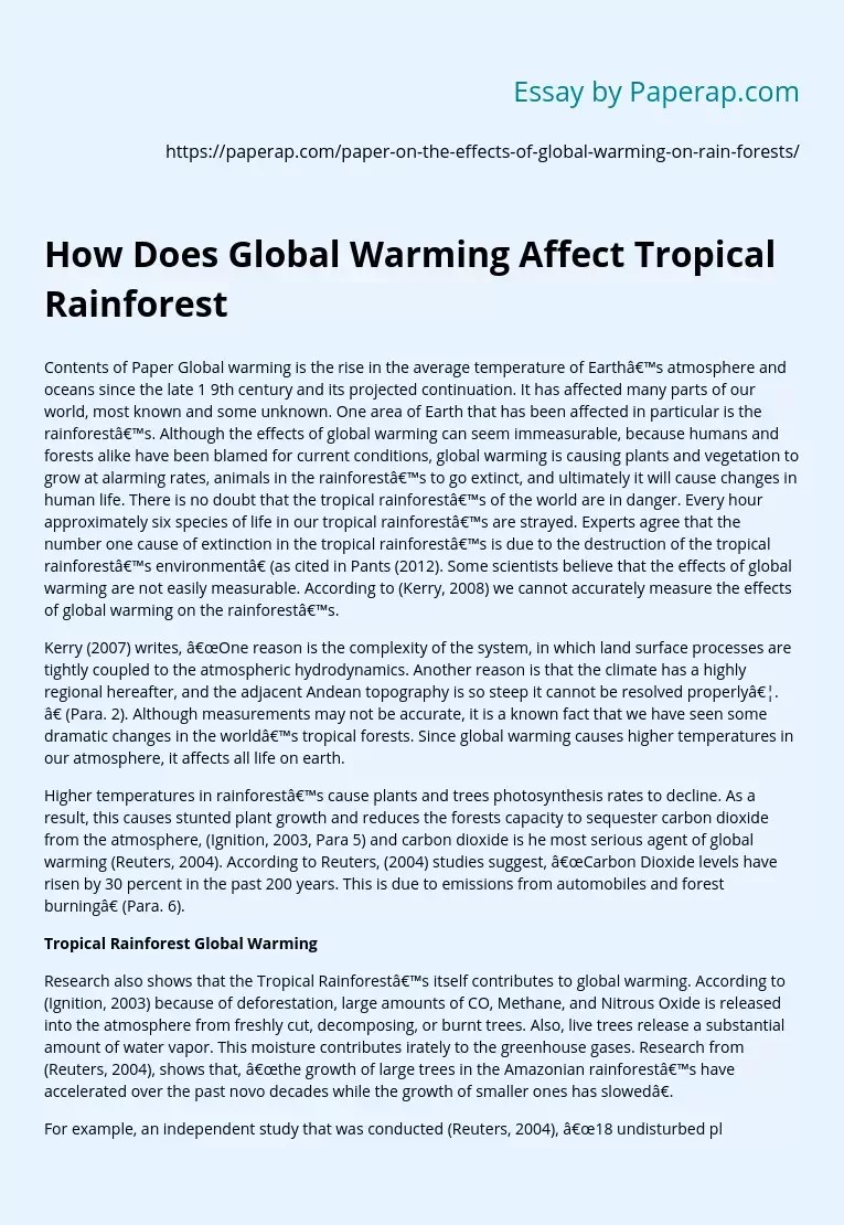 How Does Global Warming Affect Tropical Rainforest Free Essay Example