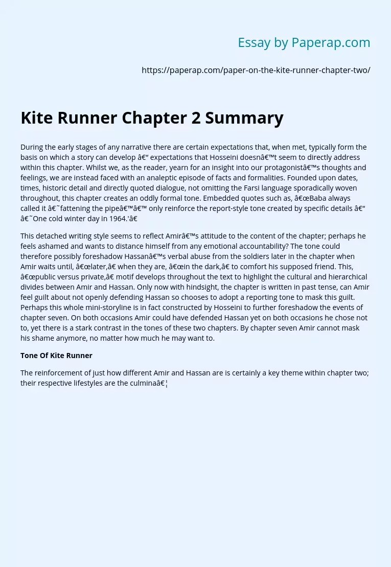 Kite Runner Chapter 2 Summary Free Essay Example