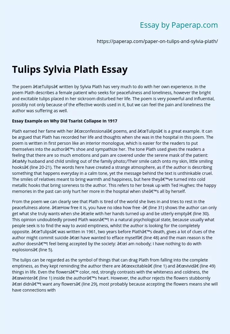 Tulips Sylvia Plath Essay Free Essay Example