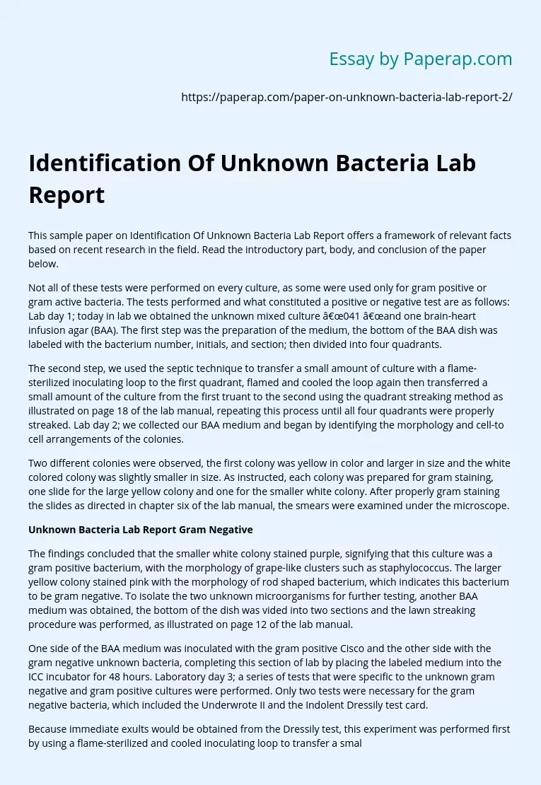 Identification Of Unknown Bacteria Lab Report Free Essay Example