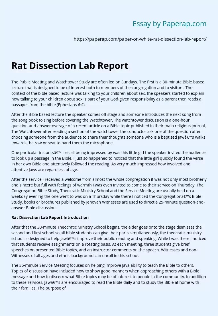 Rat Dissection Lab Report Essay Example