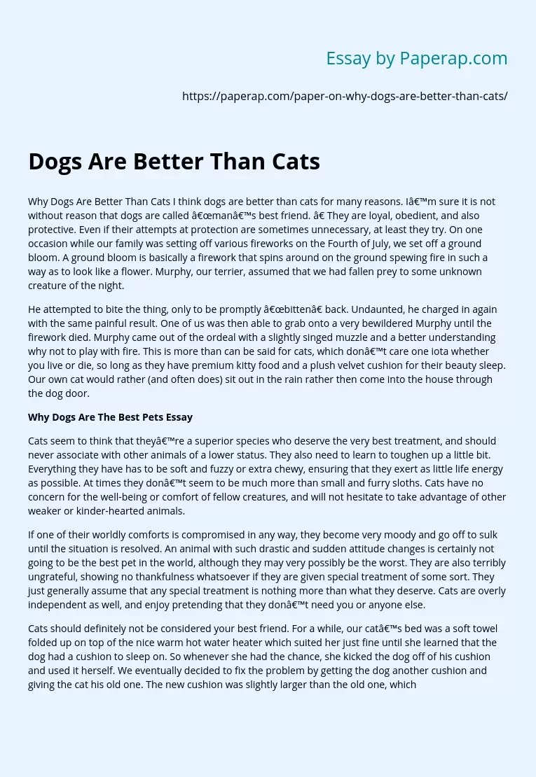 Why Dogs Are Better Pets Than Cats Essay
