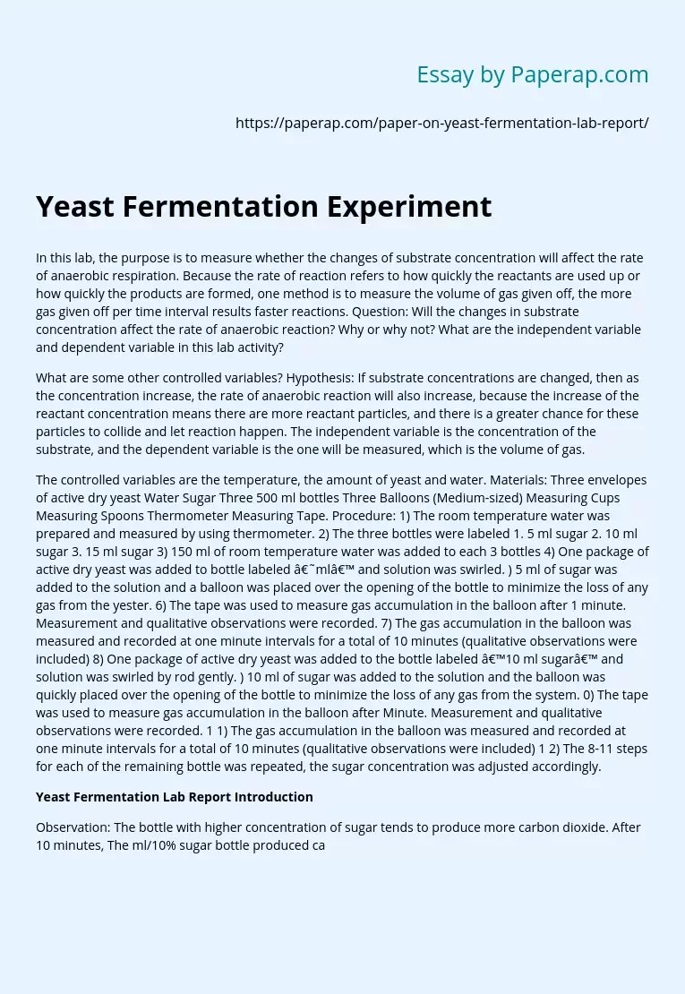 Yeast Fermentation Experiment Essay Example