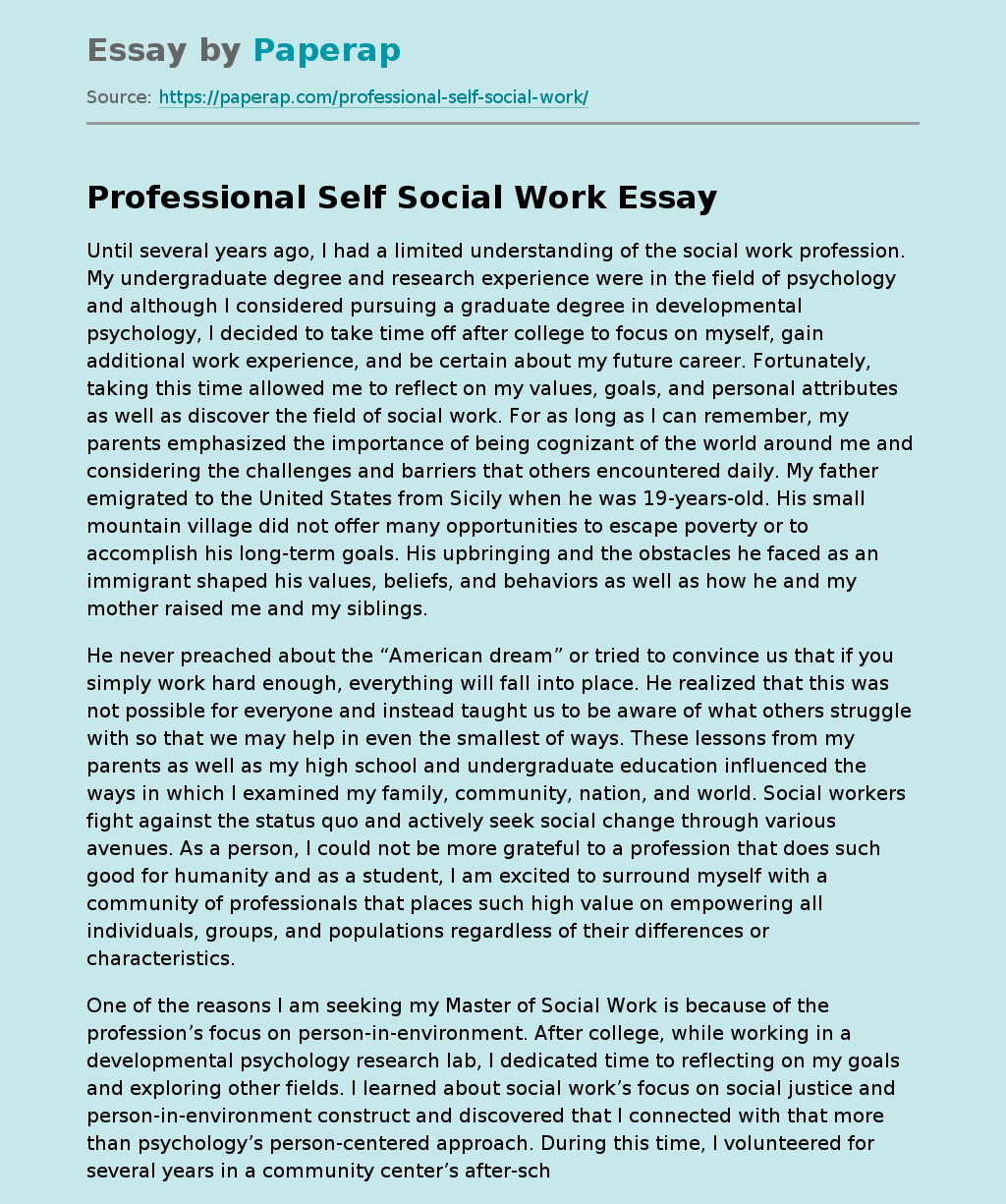 Professional Self Social Work Free Essay Example