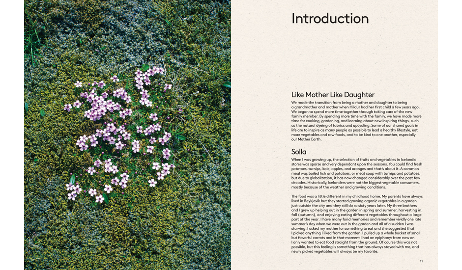 Raw Recipes for a modern vegetarian lifestyle Papercut