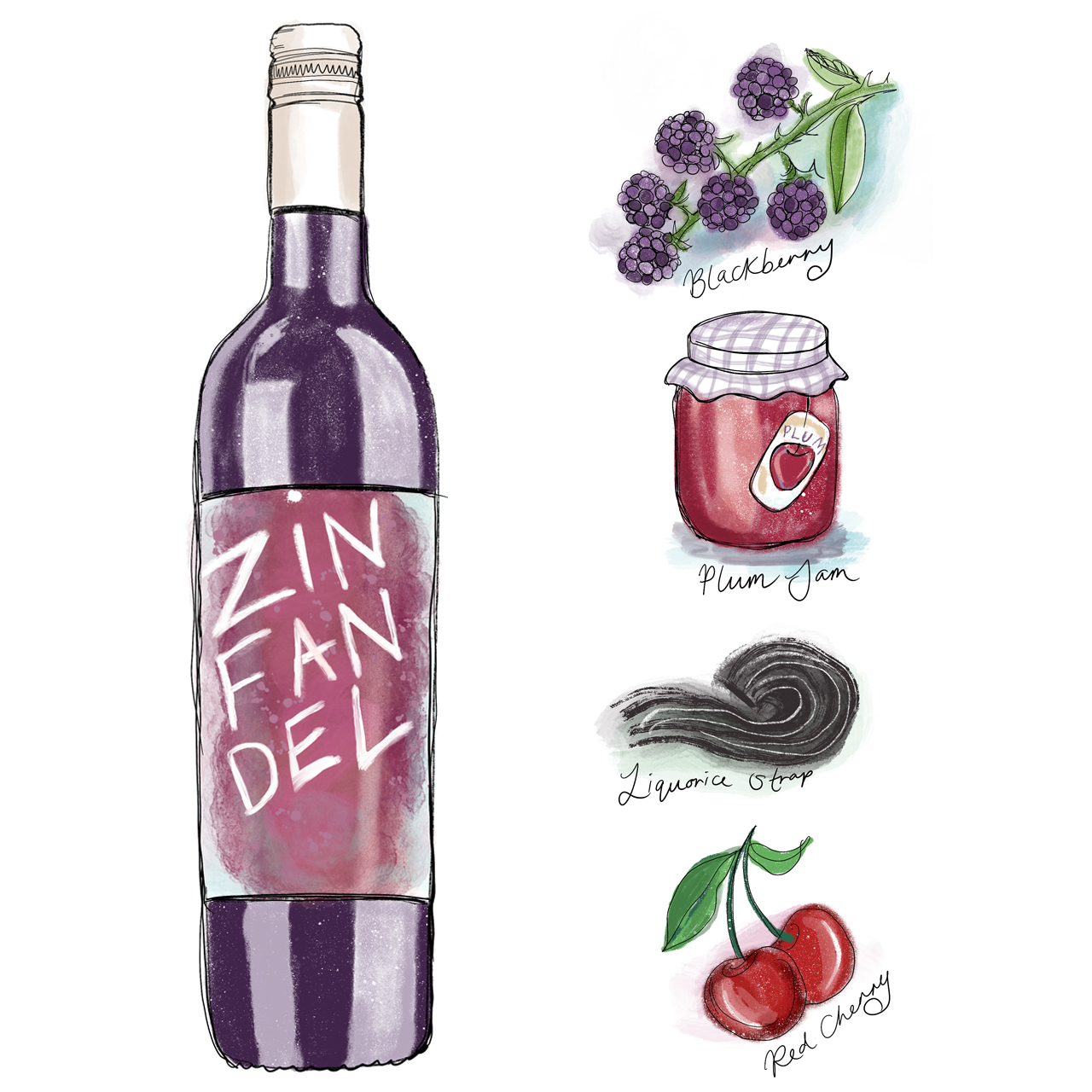 Zinfandel Paper Daisy