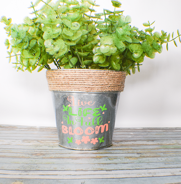 How to Make a Dollar Tree Permanent Vinyl Planter using Cricut