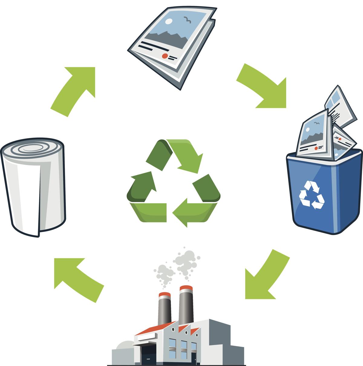 The Paper Experts paper manufacturing and recycling The Paper Experts