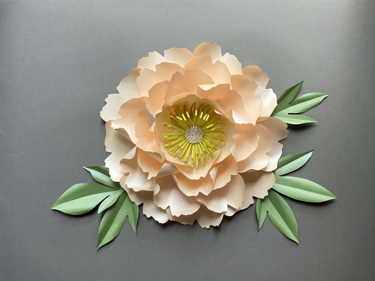 Large Peony Paper Flower Template Best Flower Site