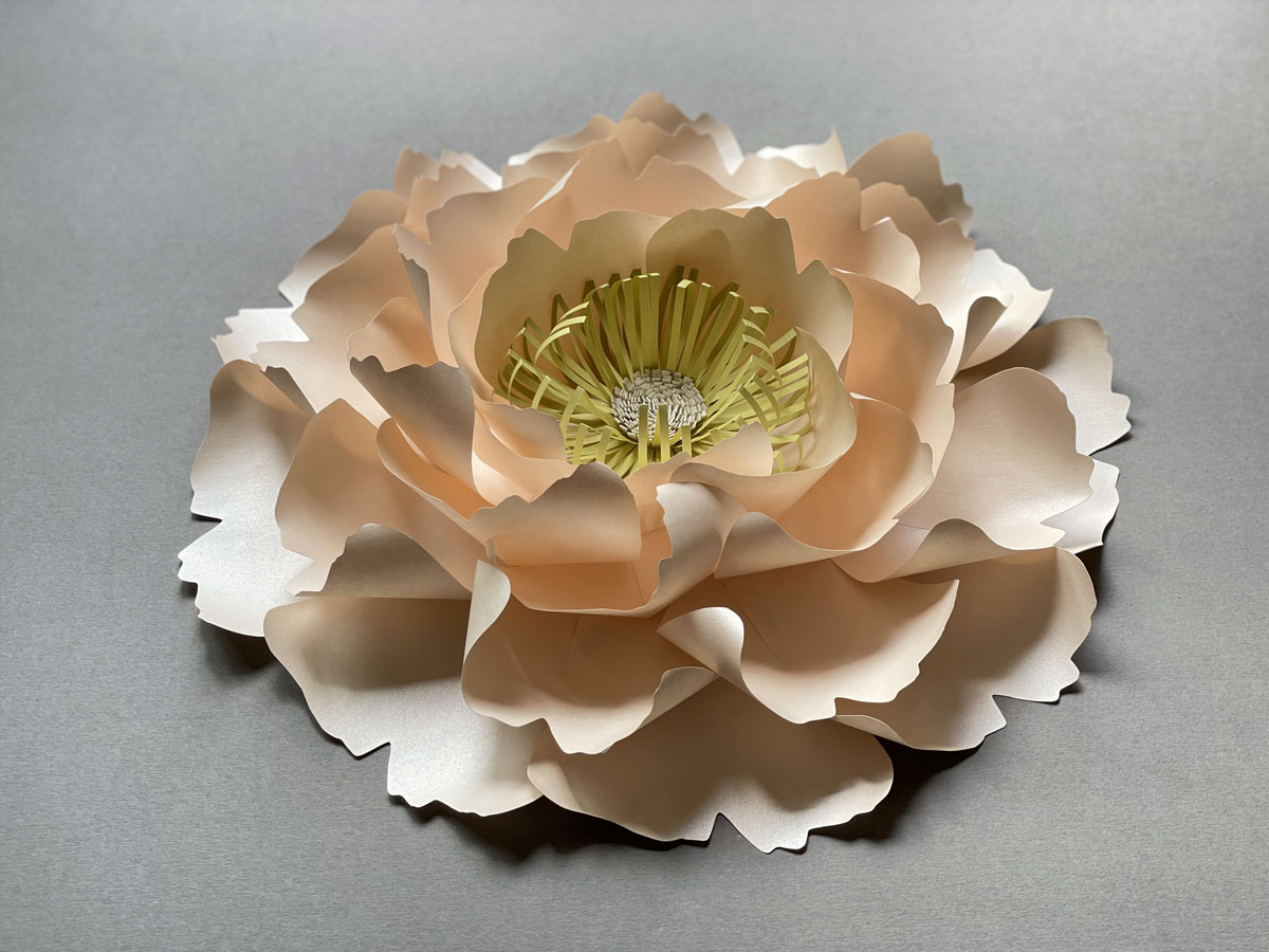 Peony Paper Flower Template Best Flower Site