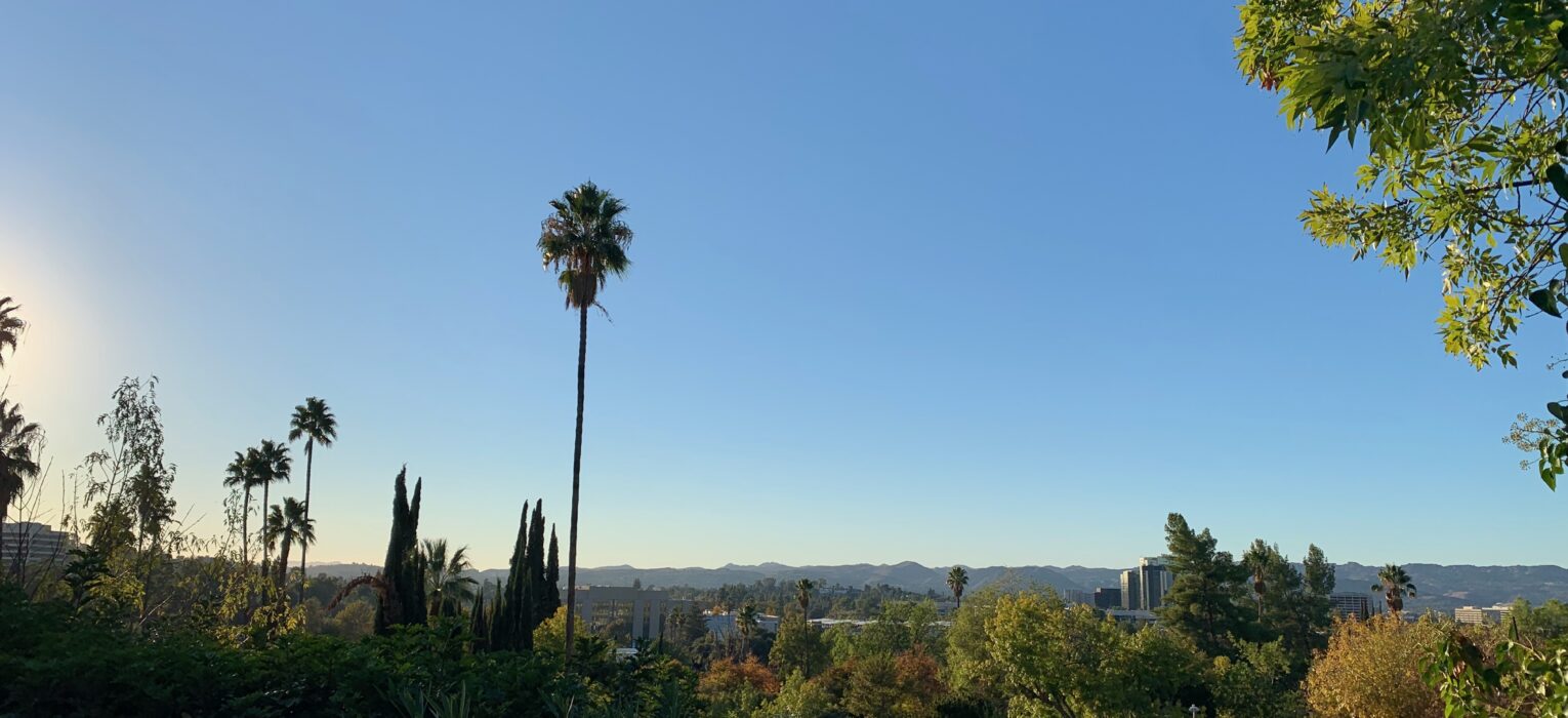 LA Neighborhood Guide Woodland Hills and Canoga Park Papers and