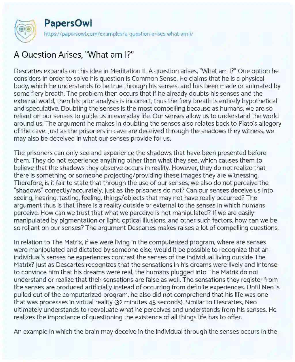 A Question Arises, "What am I?" Free Essay Example 777 Words