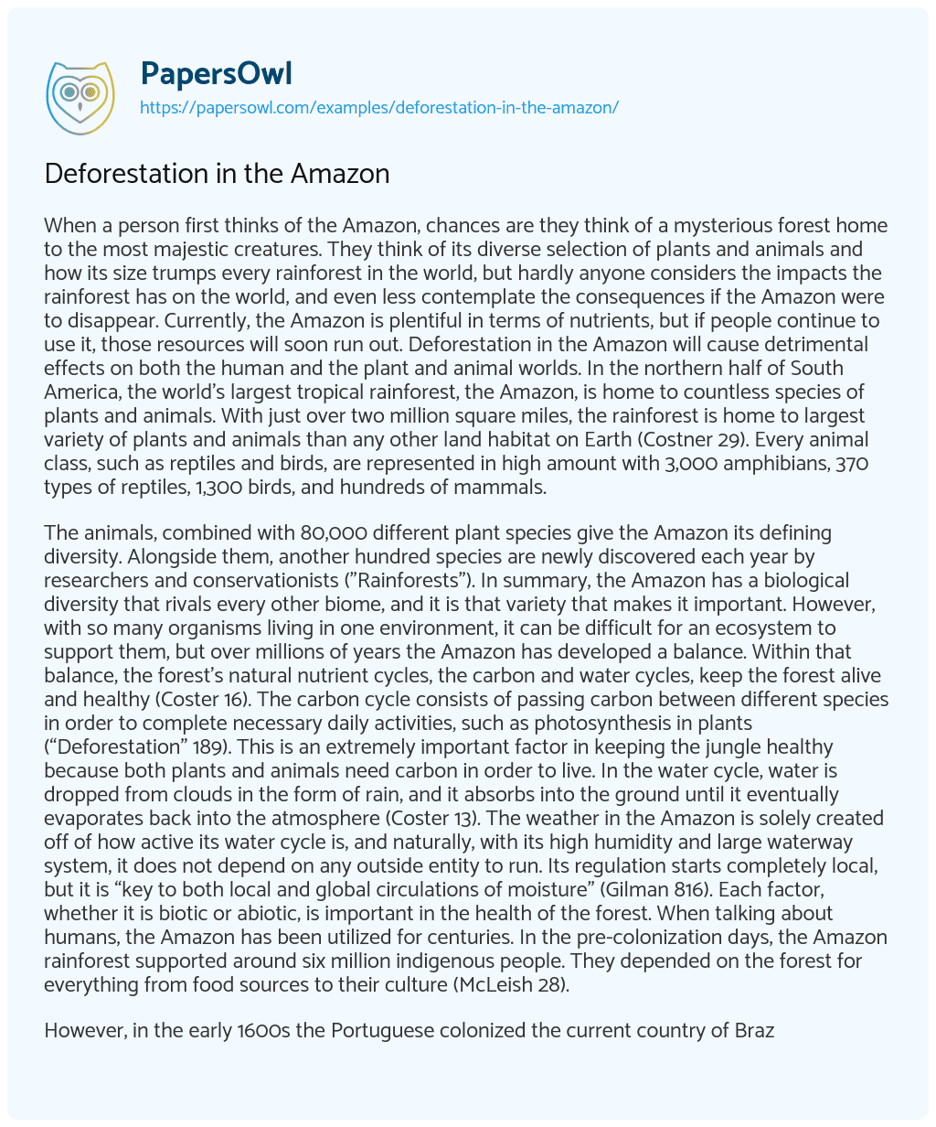 Deforestation in the Amazon Free Essay Example 2040 Words