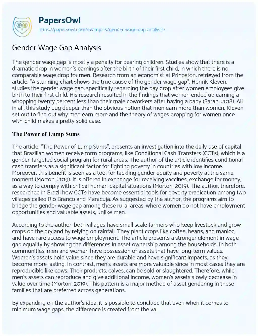 Gender Wage Gap Analysis Free Essay Example 2495 Words