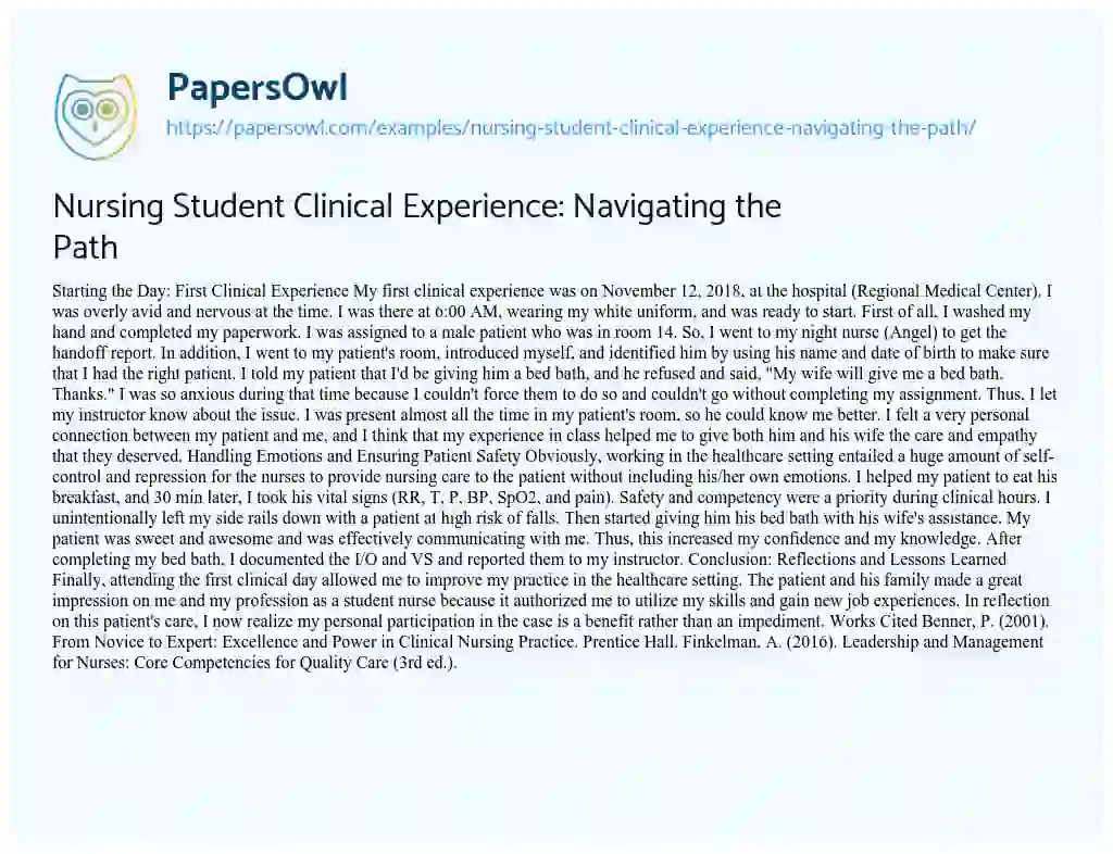 Nursing Student Clinical Experience Navigating the Path Free Essay