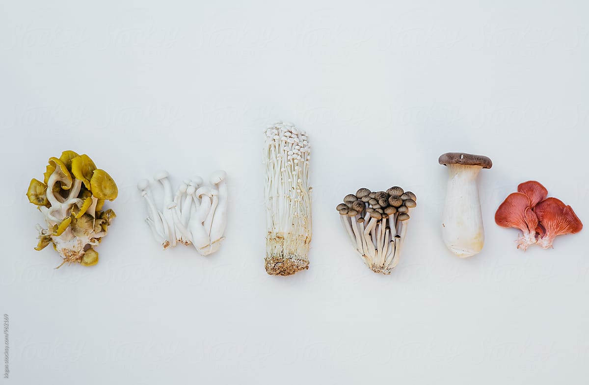 Mushrooms for Inflammation