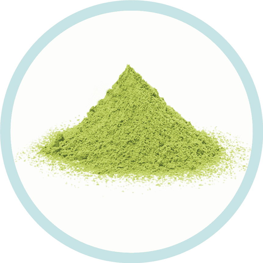 What Is Papillex®? Discover All You Need To Know And Respond to HPV