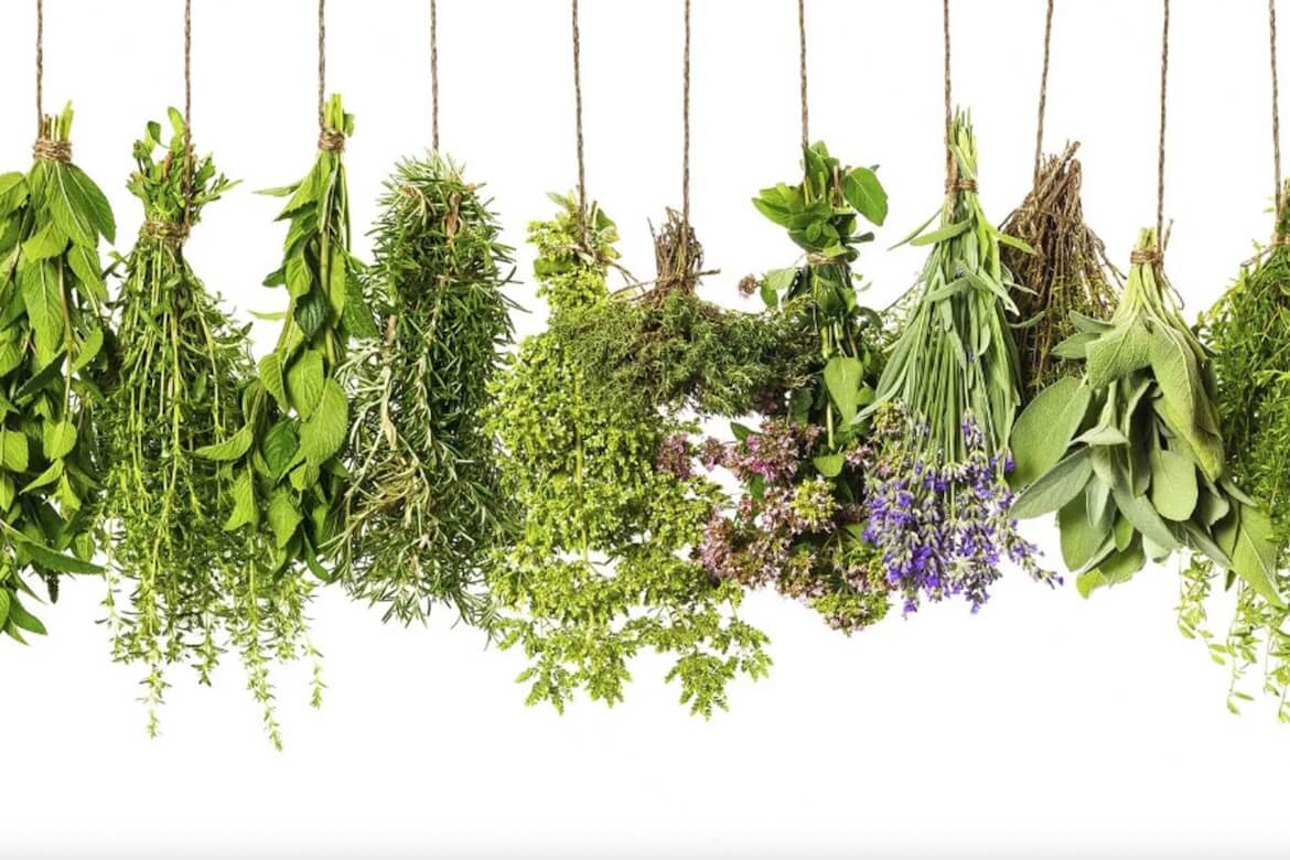 Seven Fascinating Facts About Greek Herbs You Might Not Know The