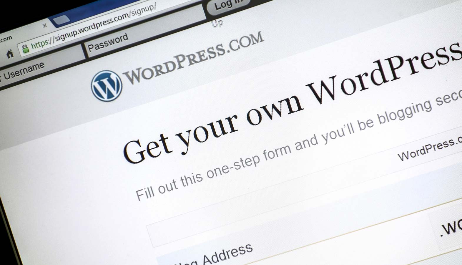 How Much Does a WordPress site Cost?