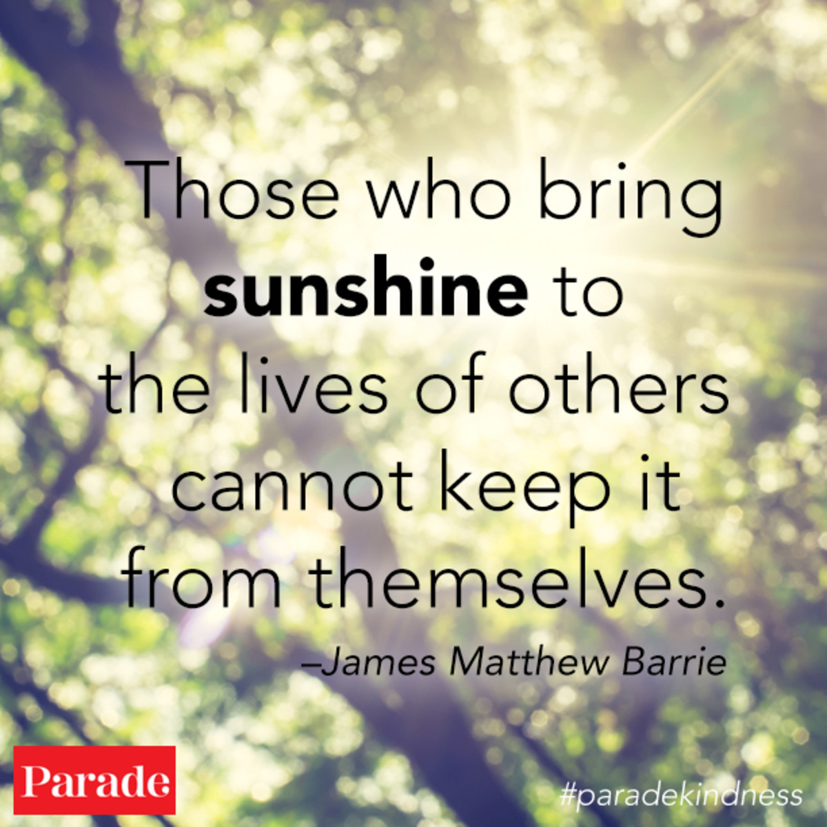 60+ Kindness Quotes Be Kind Quotes