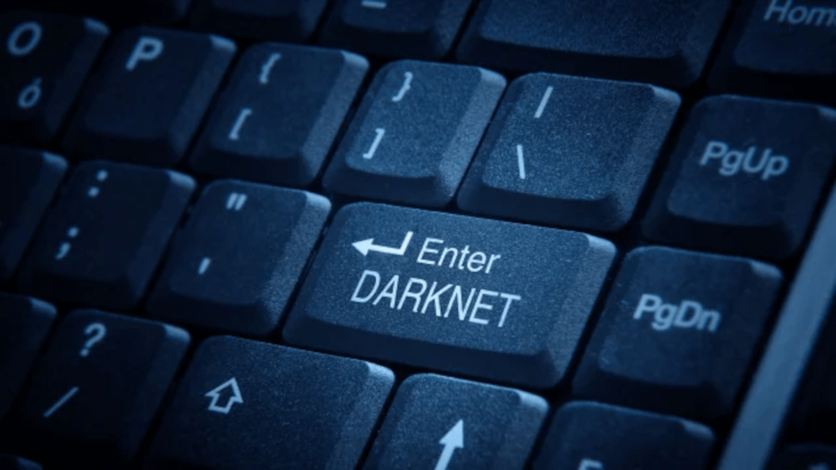 INTRODUCING DarkBERT AI CHAT GPT’S DARKSIDE PARADIGM SHYFT