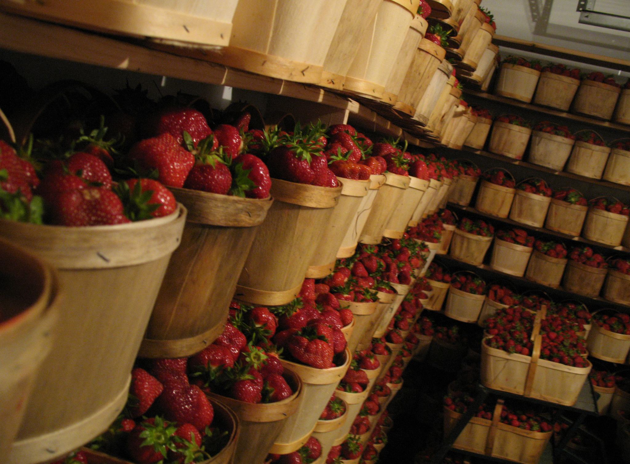 Paradis des fraises