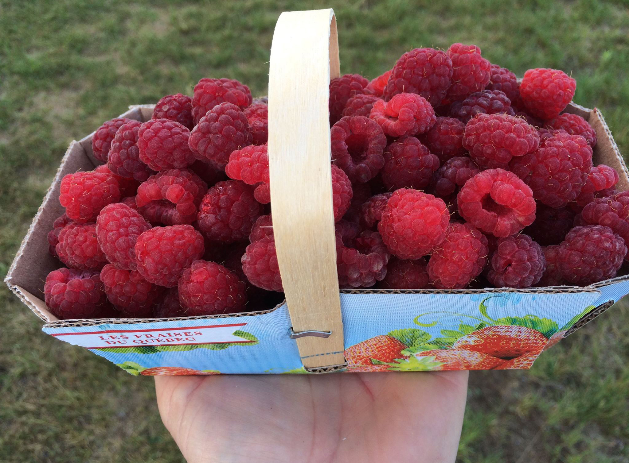Paradis des fraises