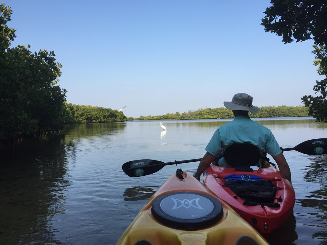 Sarasota Kayak Rentals & Tours Paradise Adventures Kayaking Tours