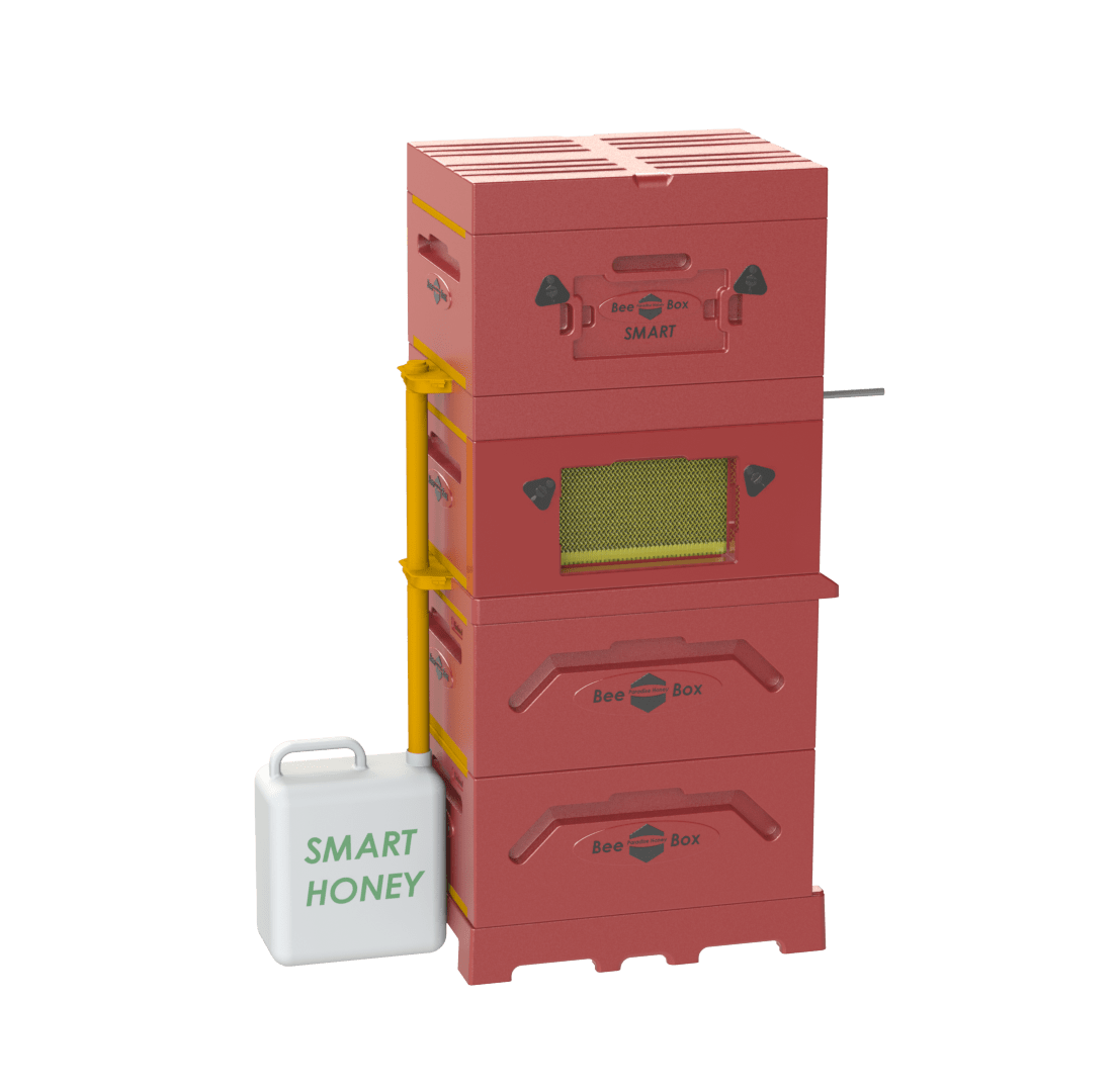 Beebox Smart System Paradise Honey