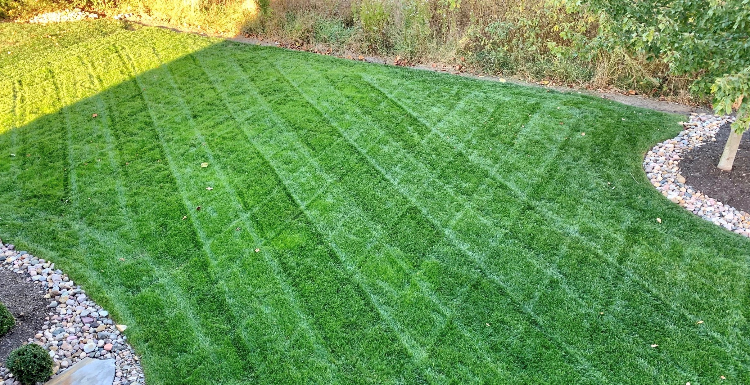 Residential Lawn & Landscape Maintenance Overland Park, Kansas City