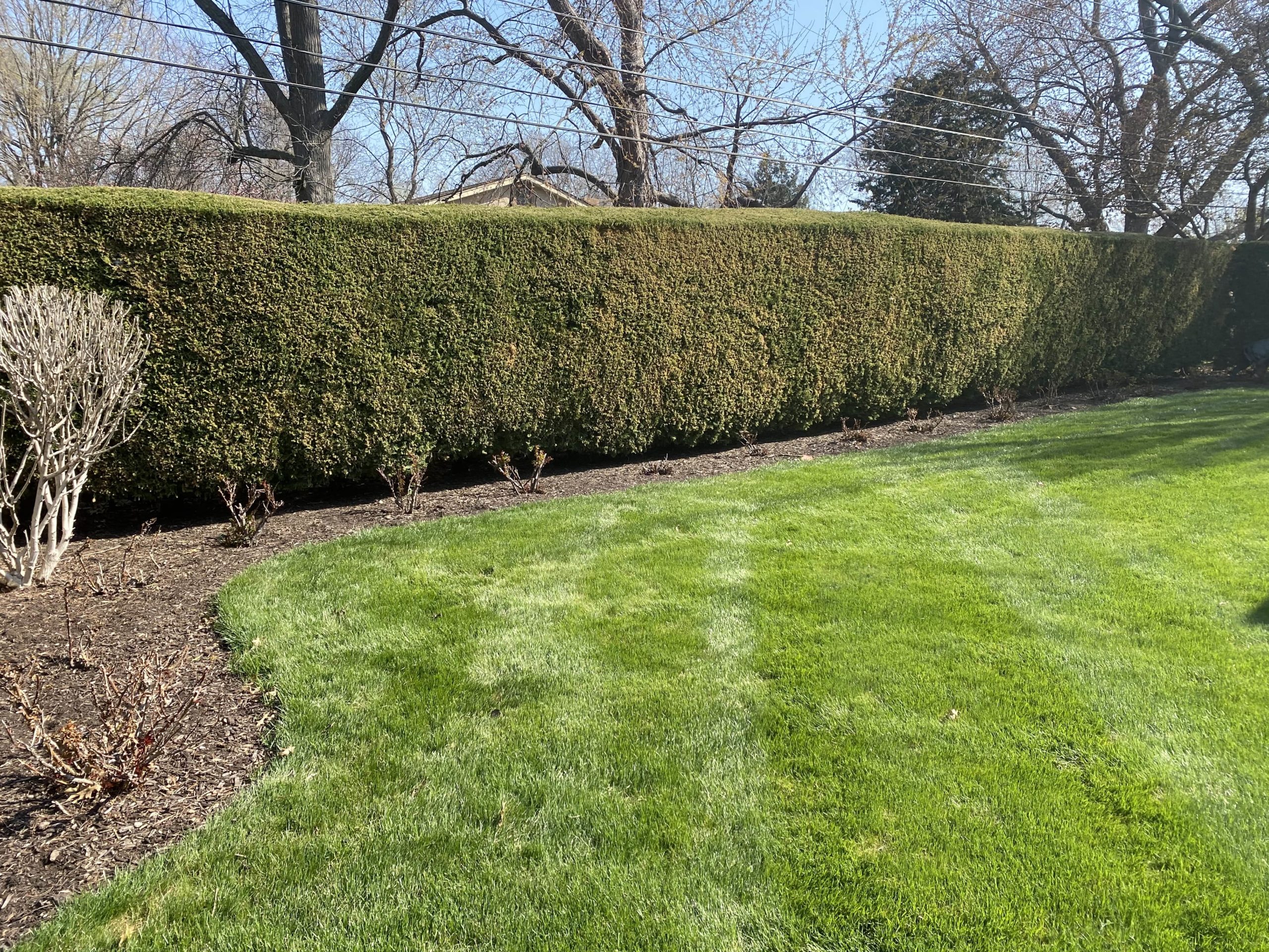 Residential Lawn & Landscape Maintenance Overland Park, Kansas City