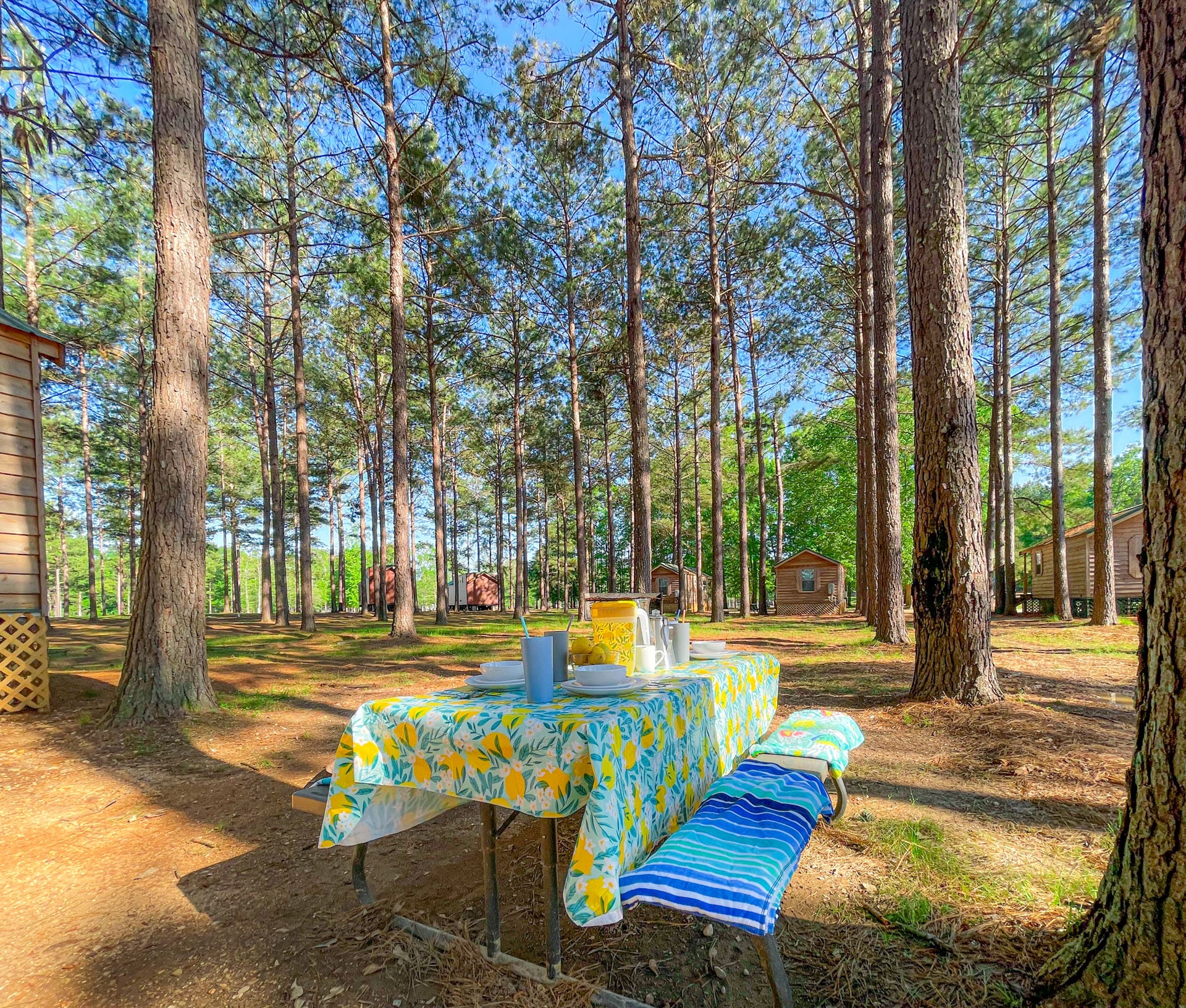 Forest Glen Cabins Paradise Ranch RV Resort