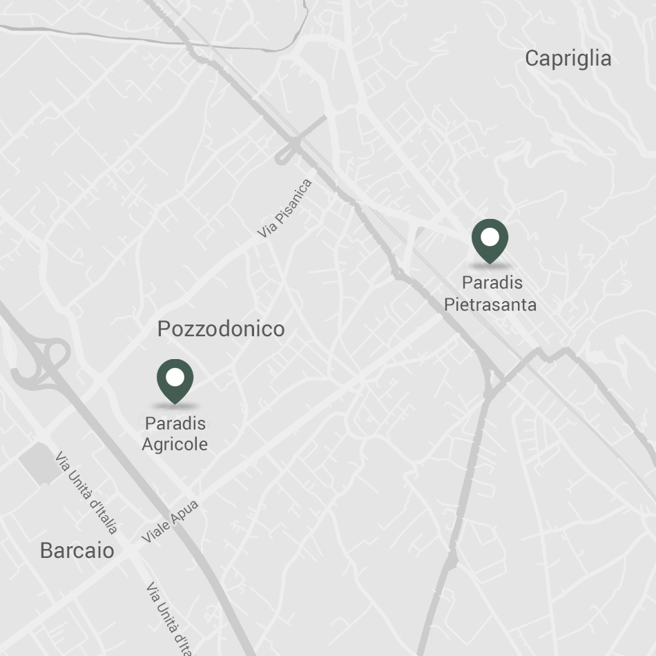 Paradis Agricole Rooms Paradis PietraSanta Hotel