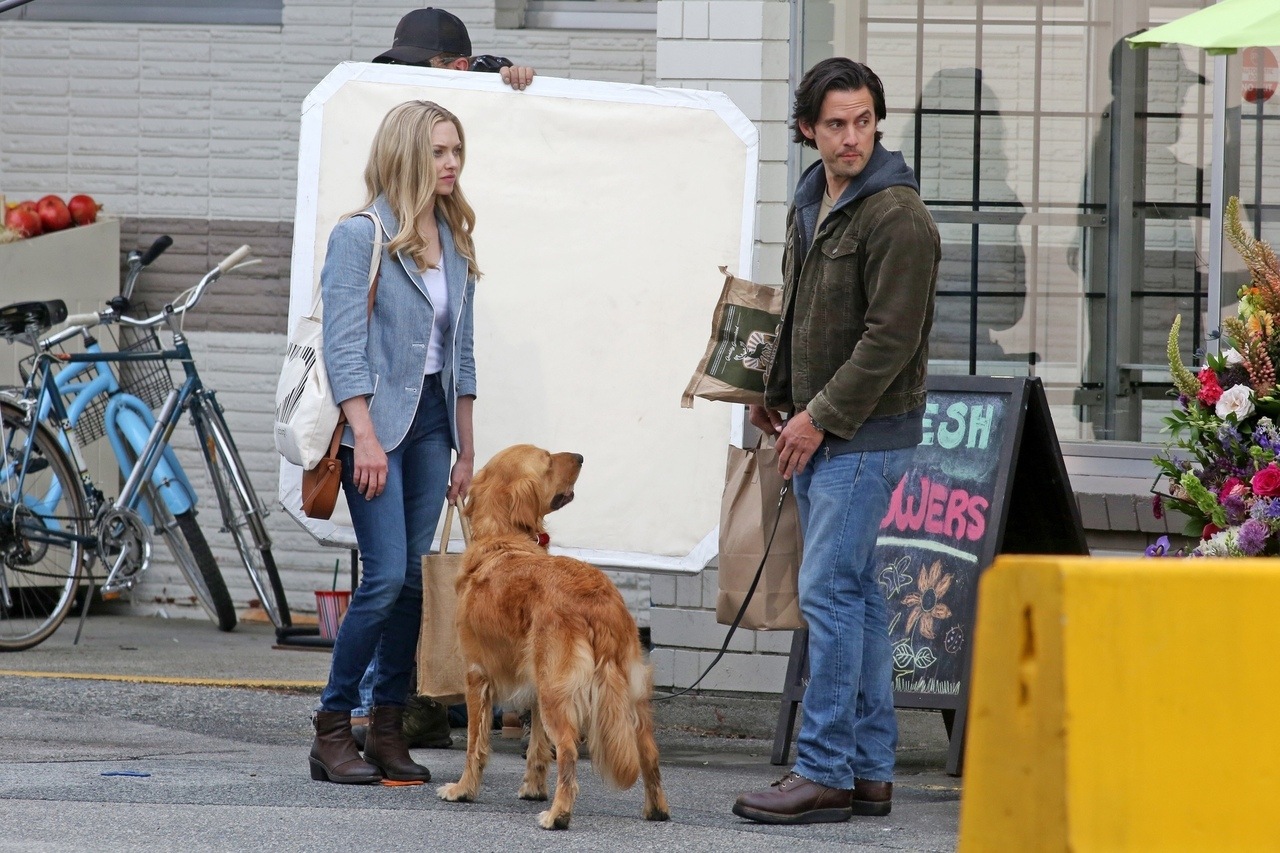 „Sztuka ścigania się w deszczu” recenzja