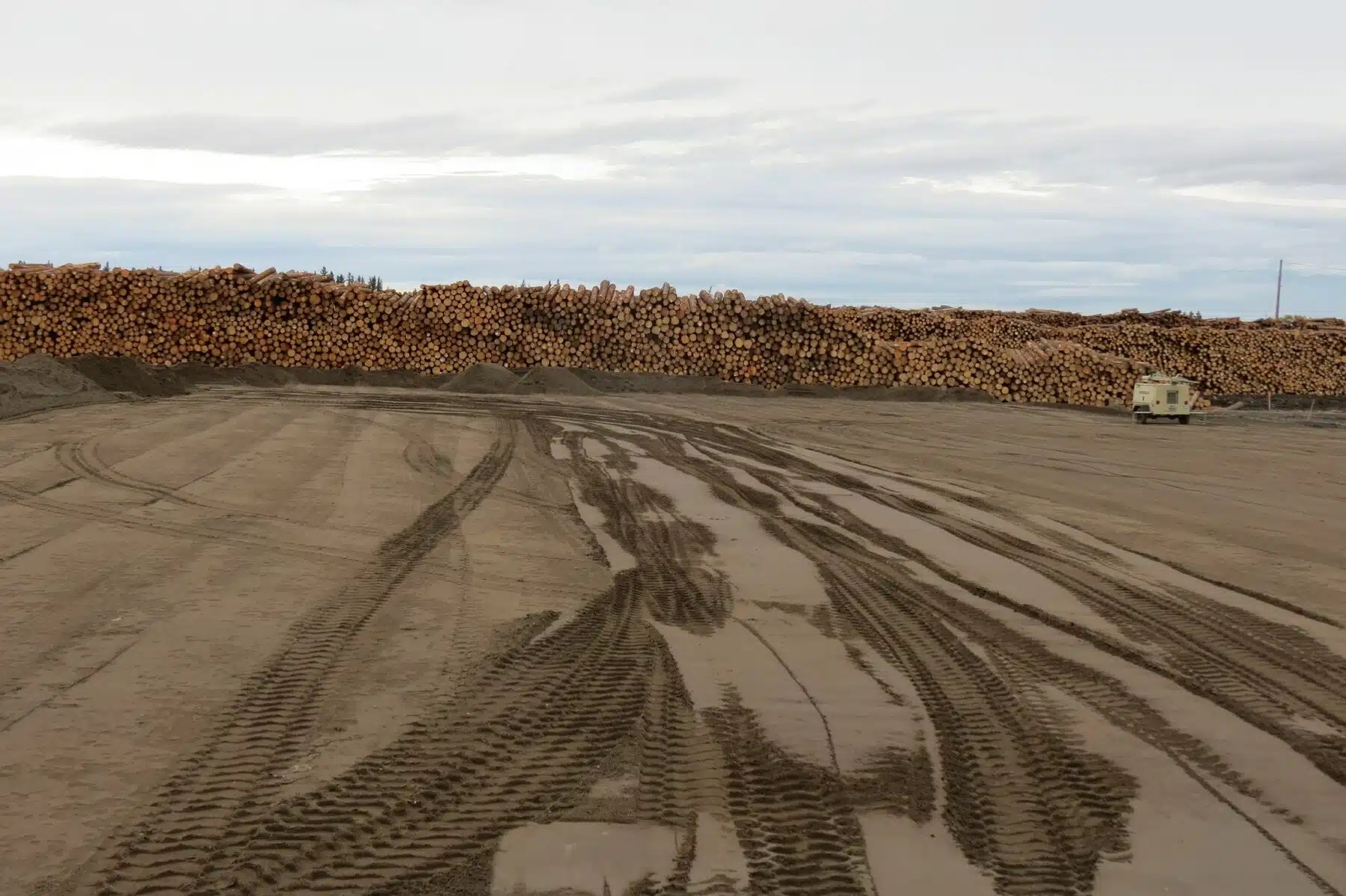 Canfor Log Yard Paradox