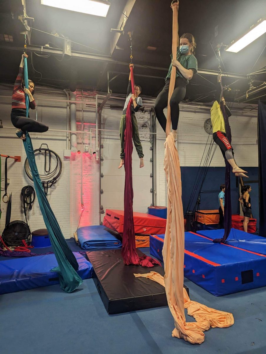 Aerial Silks