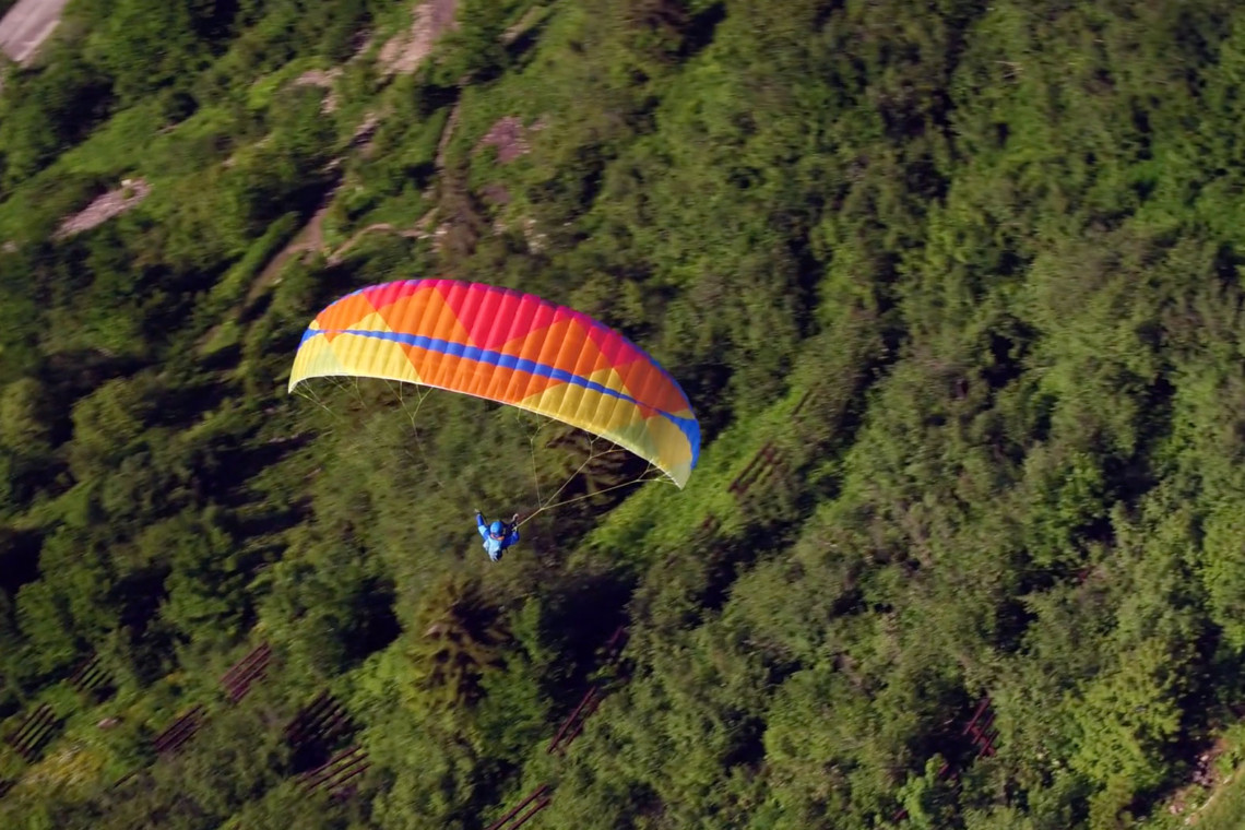 新品BGD KISS » parajapan.jp