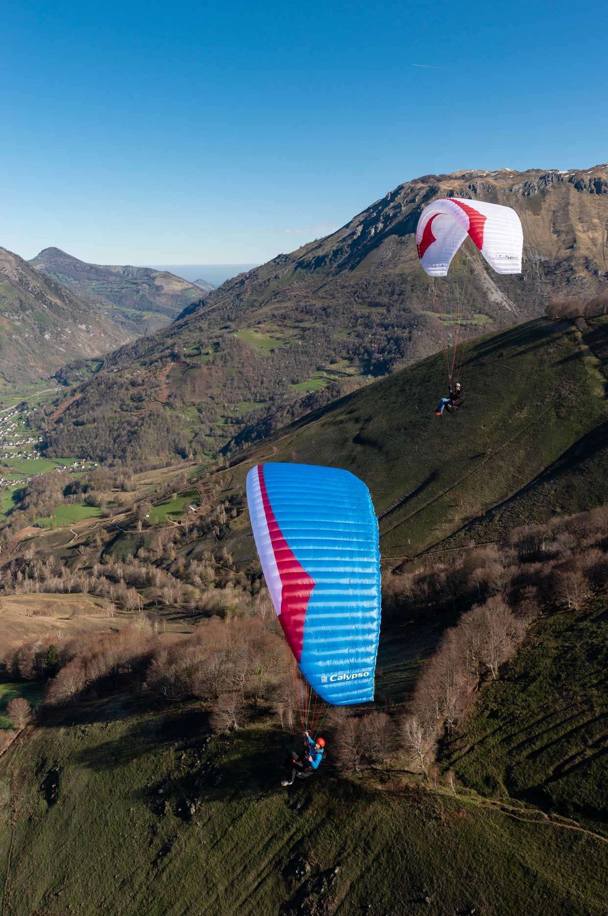 新品 GIN CALYPSO / カリプソ » parajapan.jp