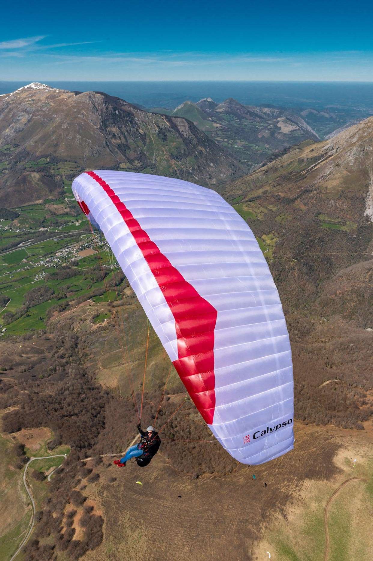 新品 GIN CALYPSO / カリプソ » parajapan.jp