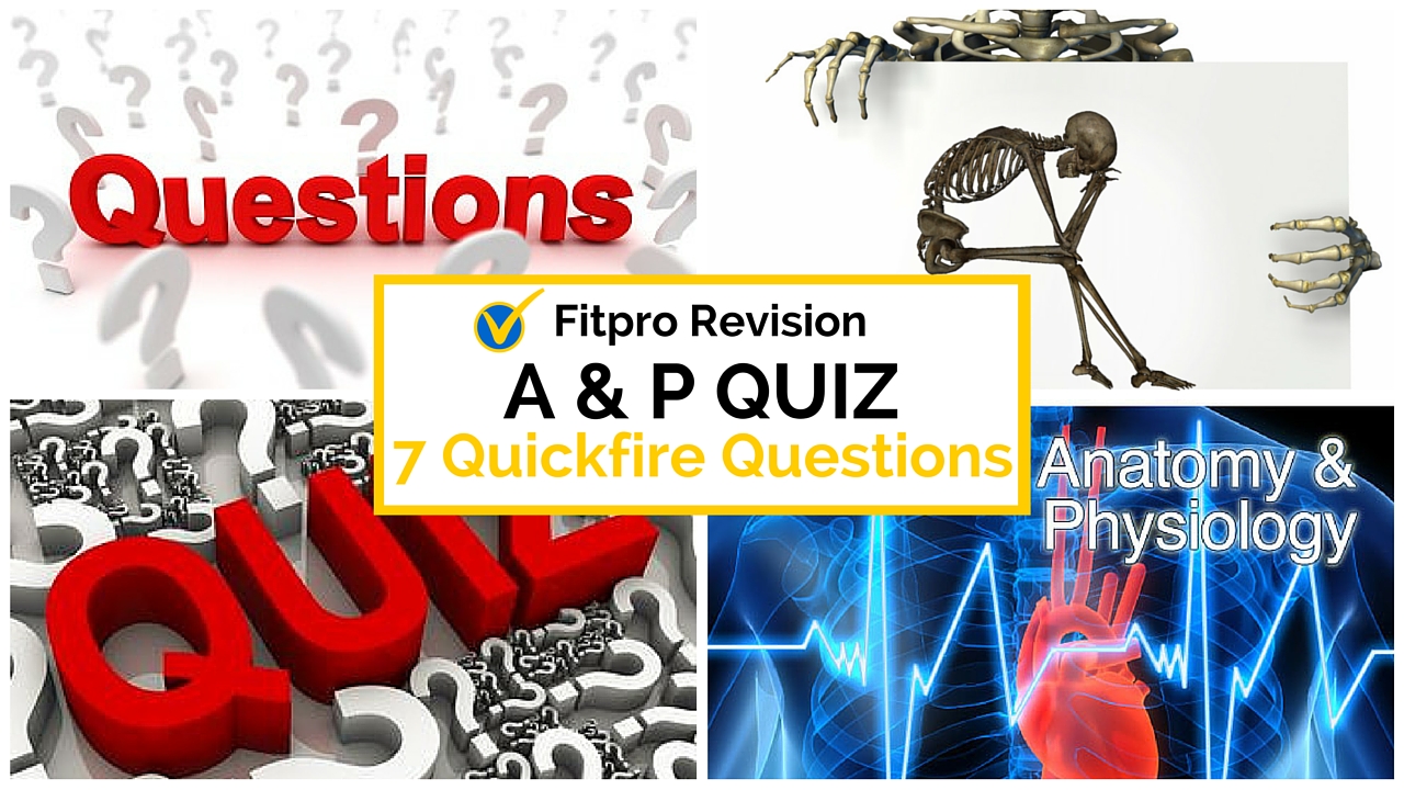 Anatomy and Physiology Quizzes The Top 7 Qs for QuickFire Revision