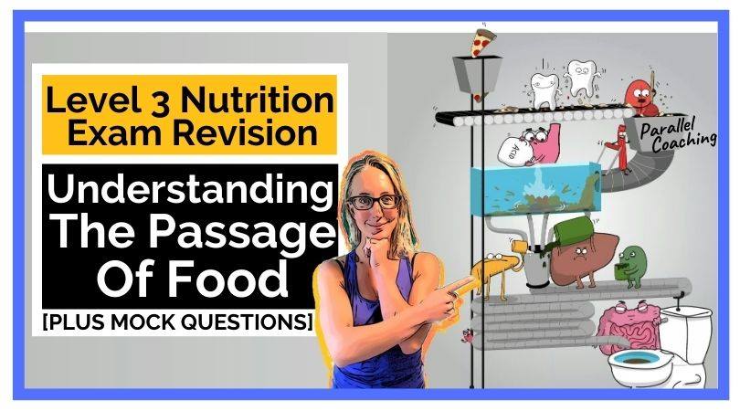 Understanding The Passage of Food Level 3 Nutrition Revision
