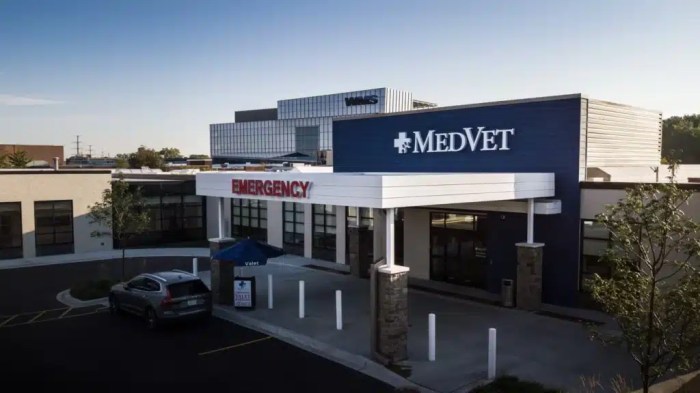 Does MedVet take CareCredit financing options