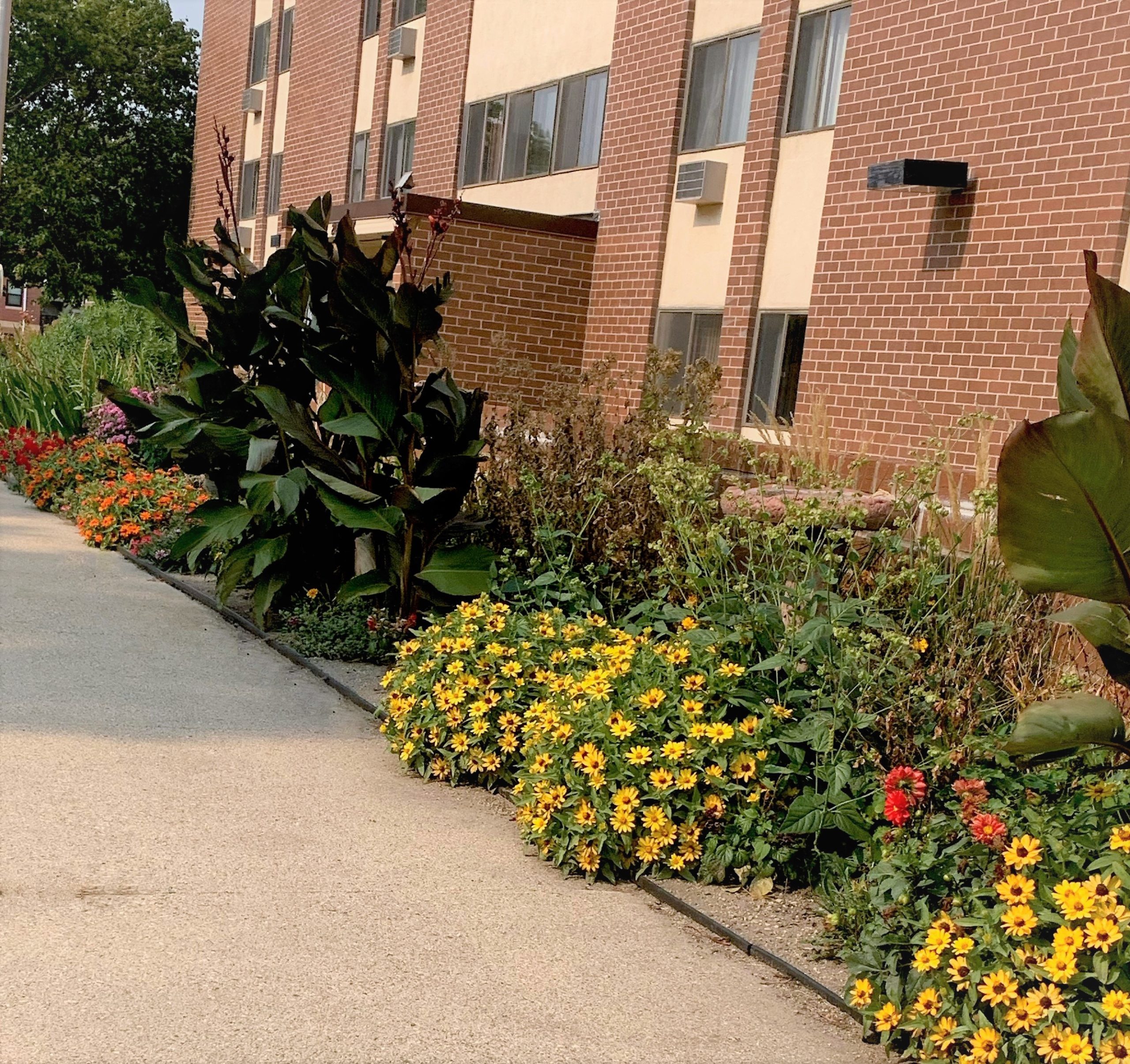 Okabena Tower Senior Housing Paramark Real Estate